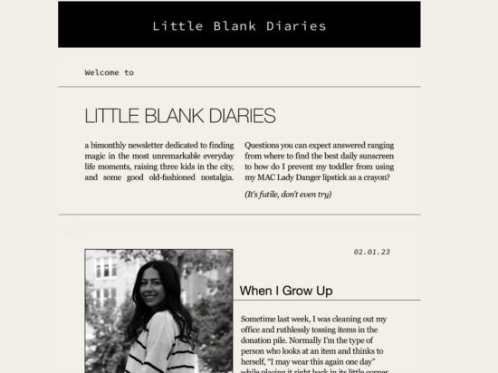 Little Blank Diaries newsletter career pause